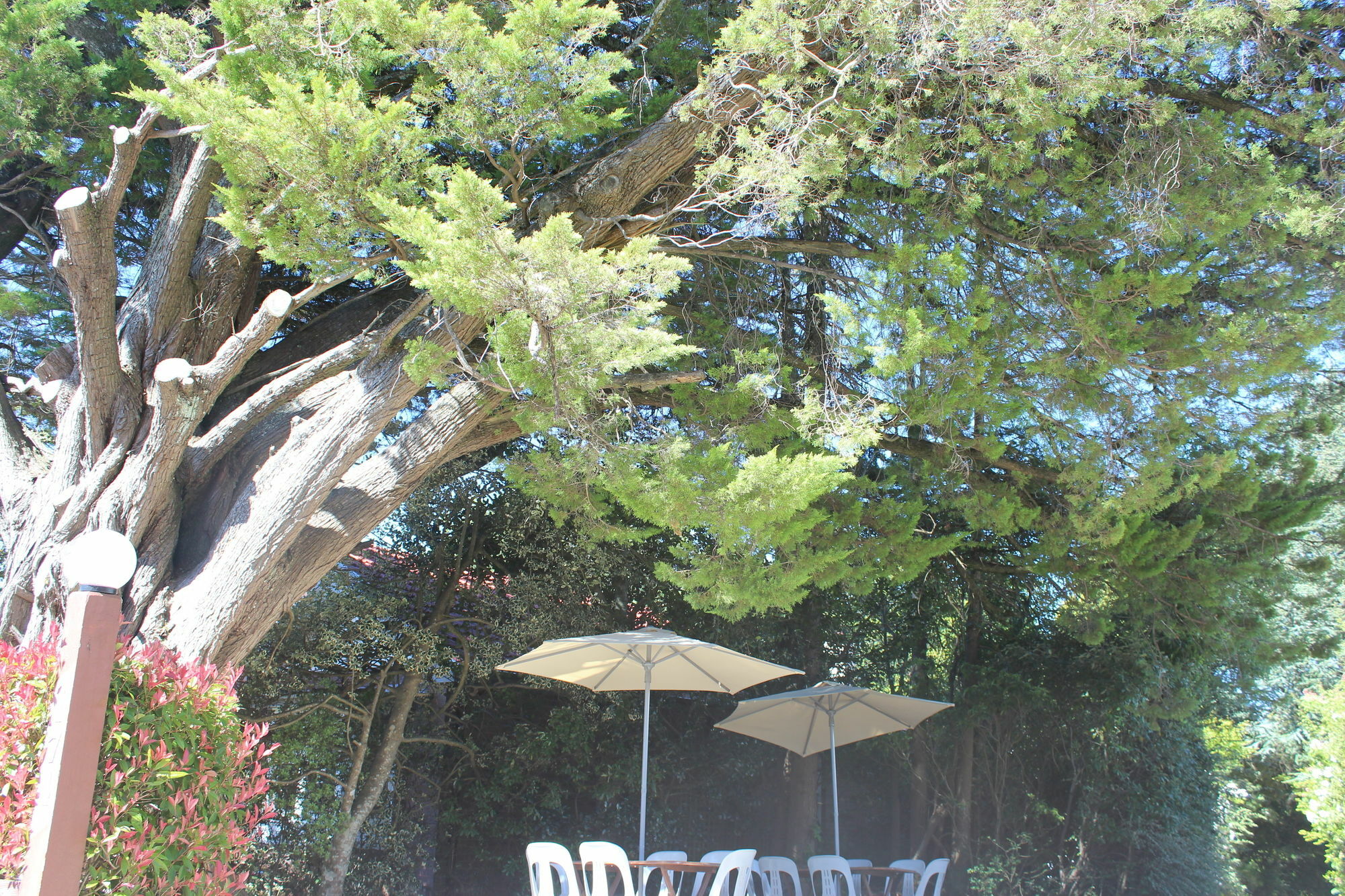 Hotel Avonleigh Katoomba Exterior photo
